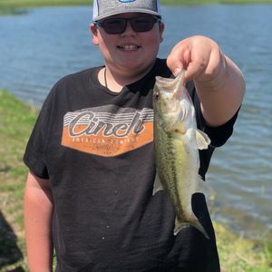 Meet your Posher, Kylan